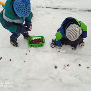 World Snow Day 2021 9